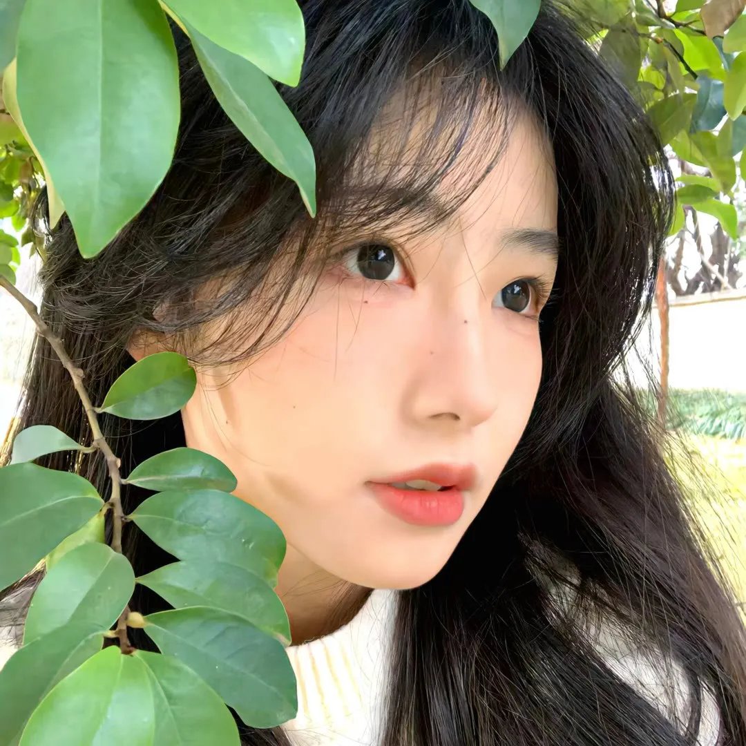 关中女人封面